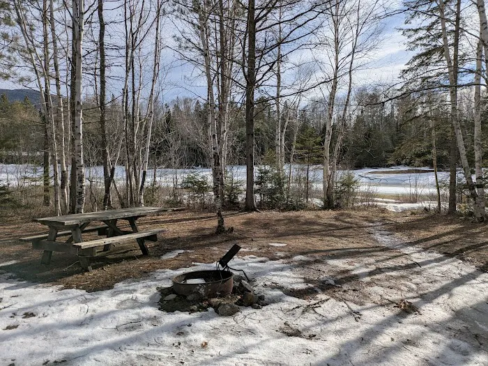 Trout Brook Campsites Picture 10
