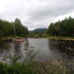 Trout Brook Campsites