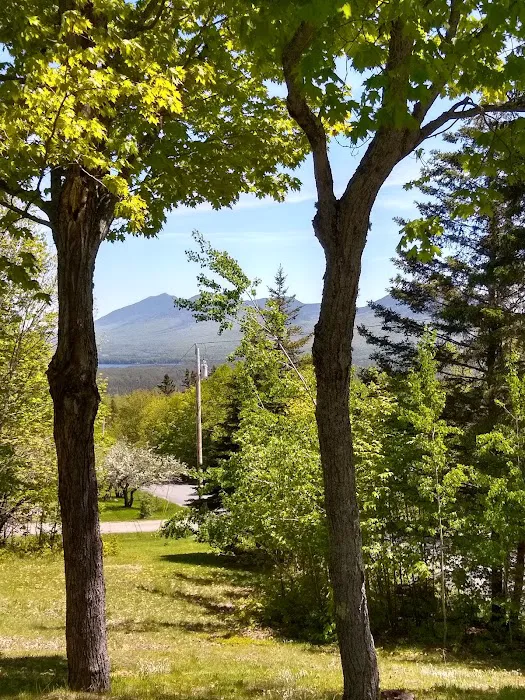 Cathedral Pines Camp Ground Picture 6