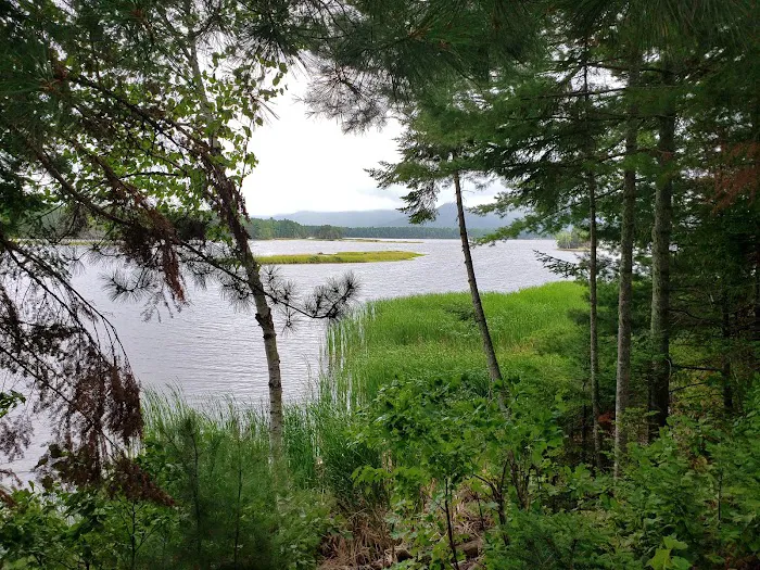 Cathedral Pines Camp Ground Picture 4