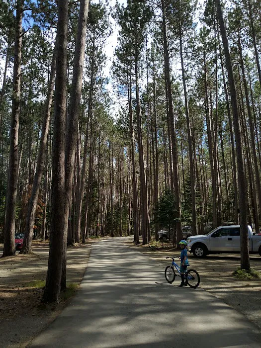 Cathedral Pines Camp Ground Picture 10