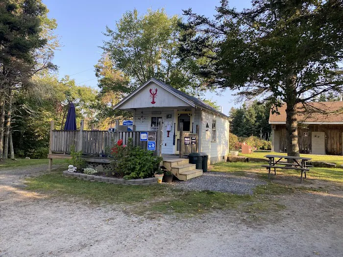 Pemaquid Point Campground Picture 10