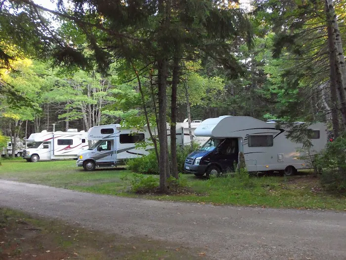 Sherwood Forest Campsite Picture 9