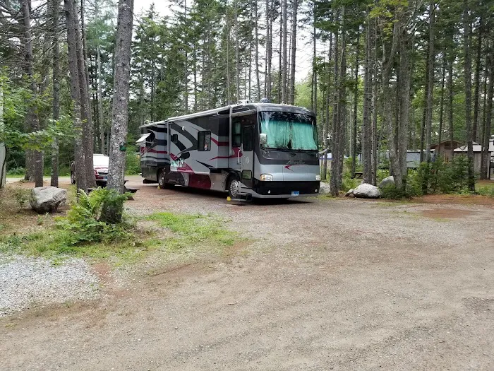 Sherwood Forest Campsite Picture 6