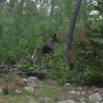 Outsiders Rustic ATV Campground