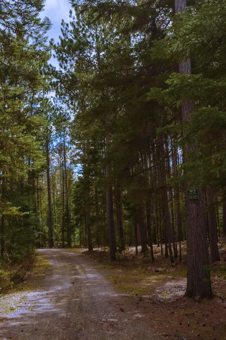 Indian Pond Campground Picture 1