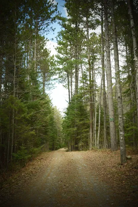 Indian Pond Campground Picture 3