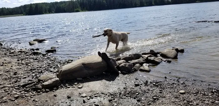 Indian Pond Campground Picture 4