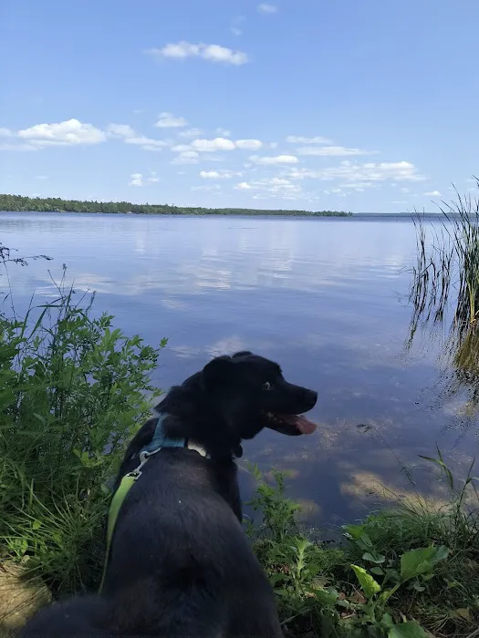 Moosehead Trail Campground Picture 4