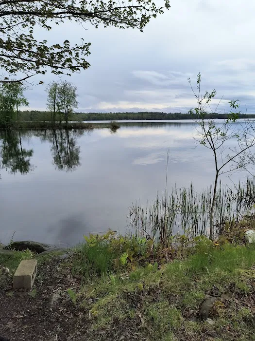 Moosehead Trail Campground Picture 8