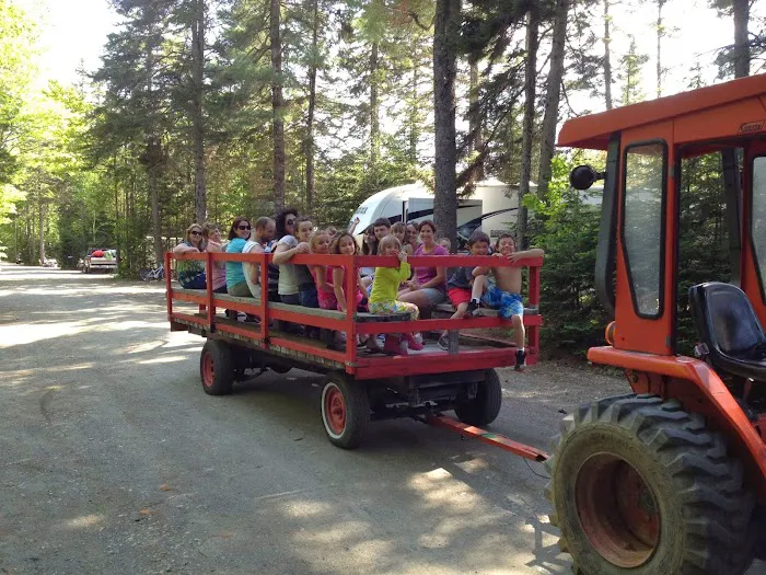 Spacious Skies Campgrounds - Balsam Woods Picture 7