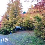 Moosehead Family Campground