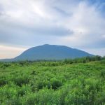 Cowan West Campground