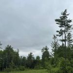 Remote Camp Guide Service & Lodging