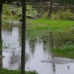 Moose River Campground