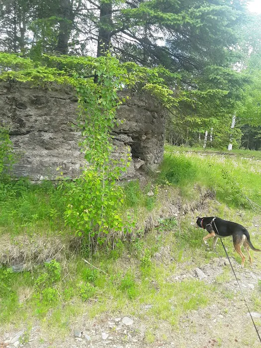 Moose River Campground Picture 2