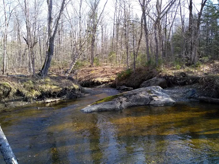 West Branch Pleasant River Campsite #6 Picture 9