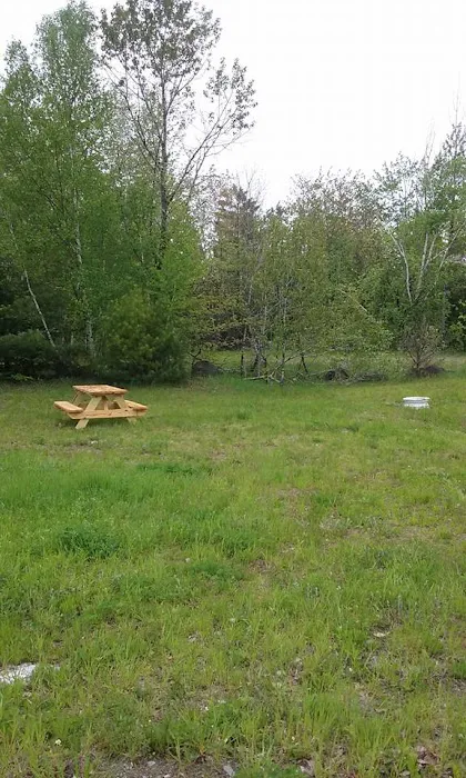 Timeout Wilderness Campground Picture 4