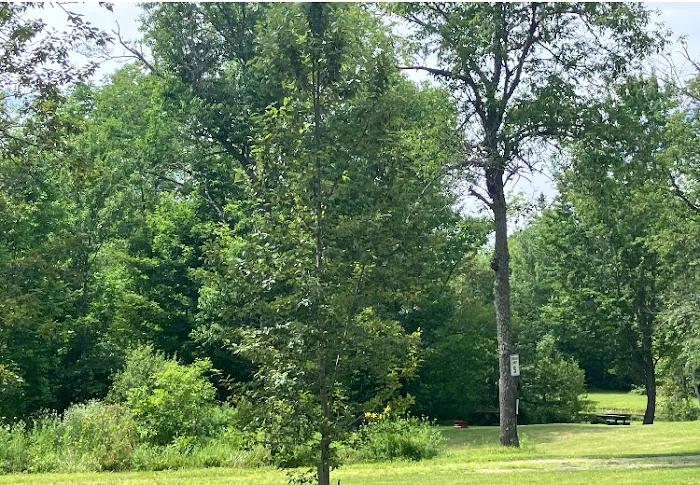 Mystic Valley Campground Picture 3
