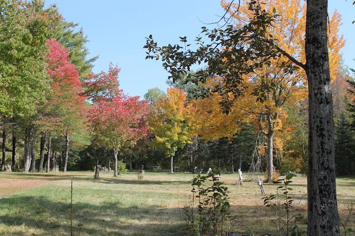Mystic Valley Campground Picture 2