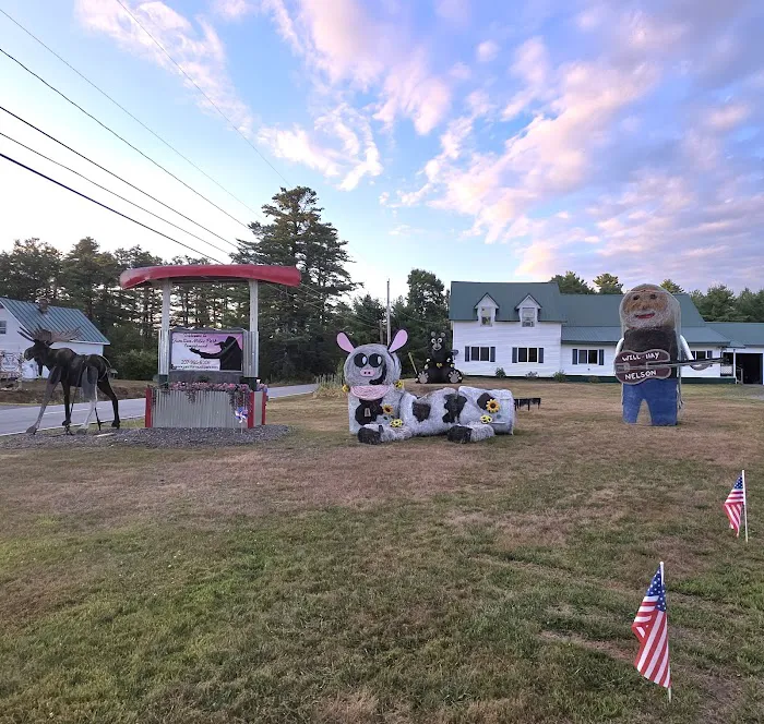 The Junction Music Park Picture 2