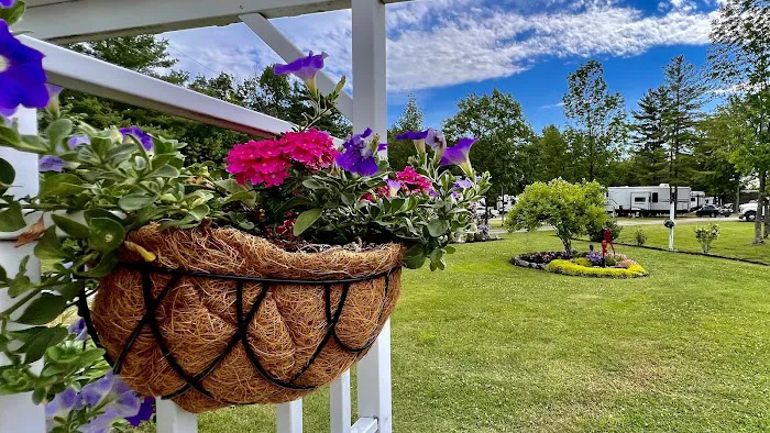 Pumpkin Patch RV Resort Picture 7