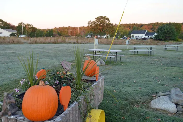 Pumpkin Patch RV Resort Picture 10