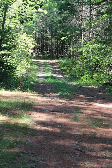 Paul Bunyan Campground Picture 3