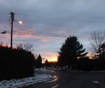 Birch Hill Estates