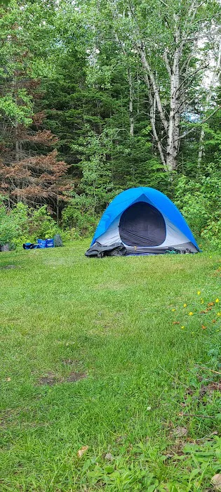 Roll Dam Campground Picture 7