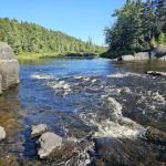 Leadbetter Falls Campsite