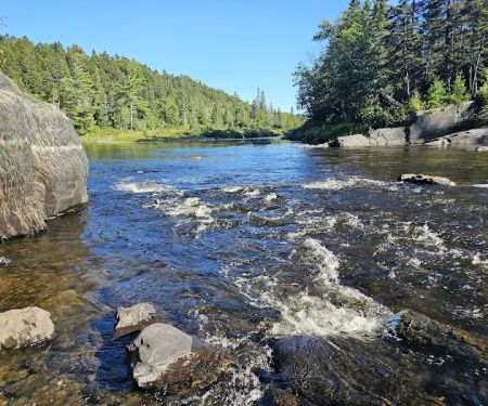 Leadbetter Falls Campsite