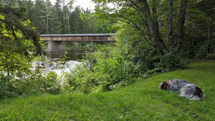 Leadbetter Falls Campsite Picture 6