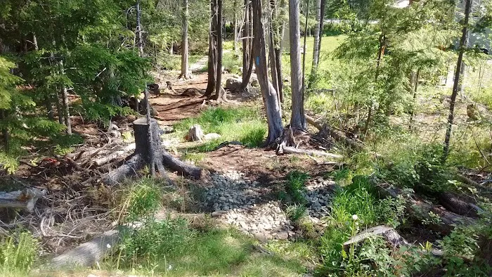 Forest Ave Mobile Home Park Picture 2