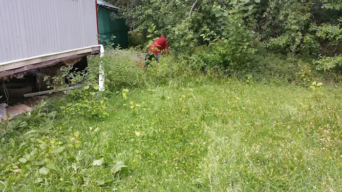 Forest Ave Mobile Home Park Picture 3