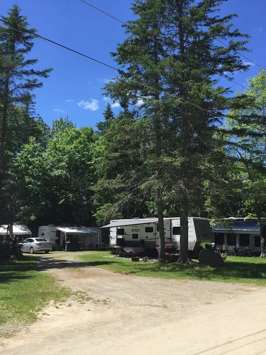 Cold River Campground Picture 7