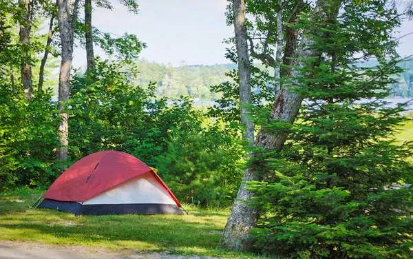 Patten Pond Campground Picture 5