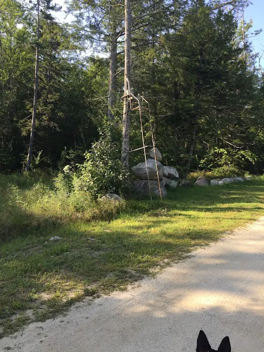 Wanderin Moose Campground Picture 9