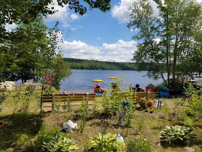 Balsam Cove Campground Picture 9