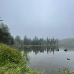 True Serendipity Homestead