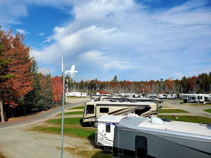 Timberland Acres RV Park Picture 4