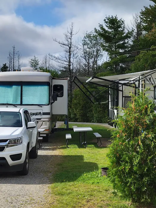 Timberland Acres RV Park Picture 9
