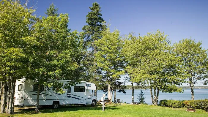 Mt Desert Narrows Campground Picture 3