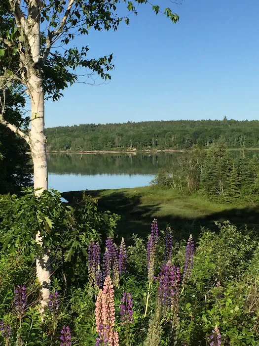 Acadia Seashore Camping & Cabins Picture 9