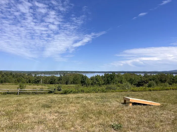 Bar Harbor Campground Picture 4