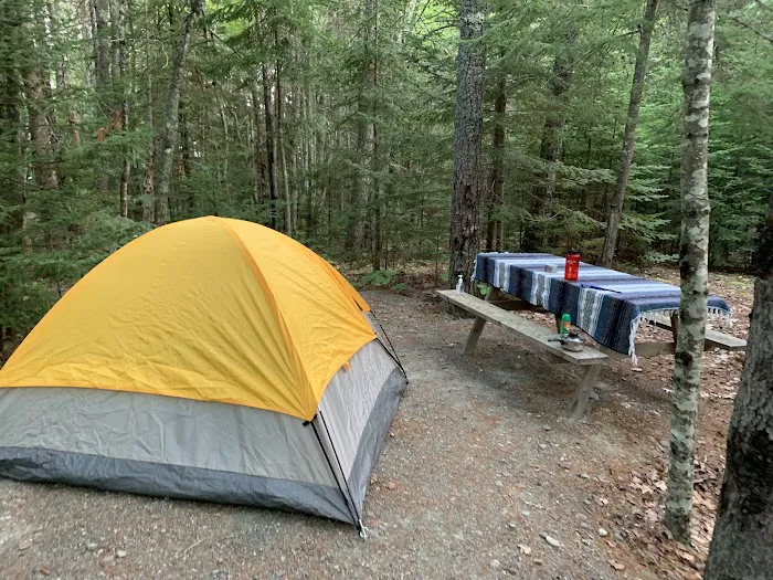 Bar Harbor Campground Picture 1