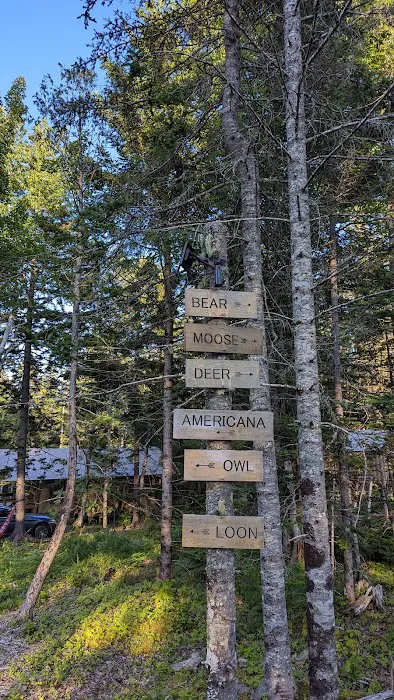 Woods of Eden Glampground Picture 7