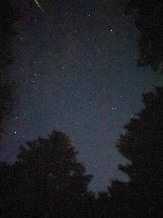 Acadia East Campground Picture 9