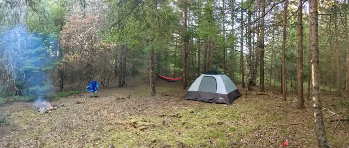 Acadia East Campground Picture 10