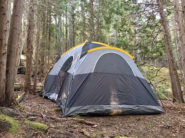 Acadia East Campground Picture 4